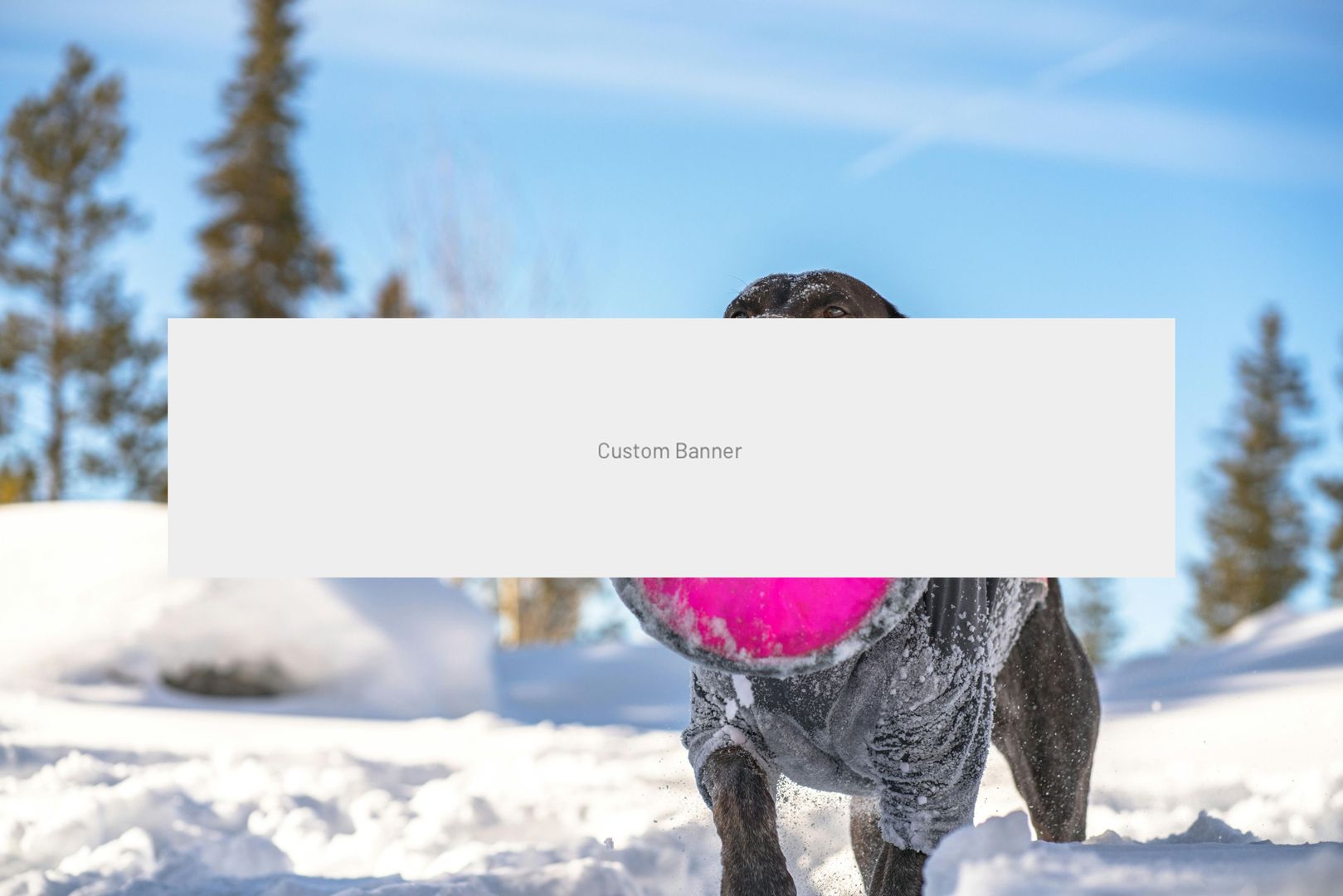 Bran - Casa pe strada Valea Portii. 223 mp, 4 dormitoare - Poză 7