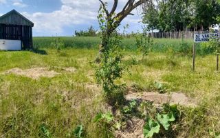 Teren constructie casa - Poză 3