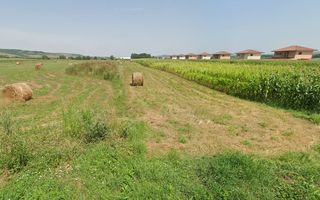 Teren intravilan – 2.900 mp | Jucu de Sus - Poză 2