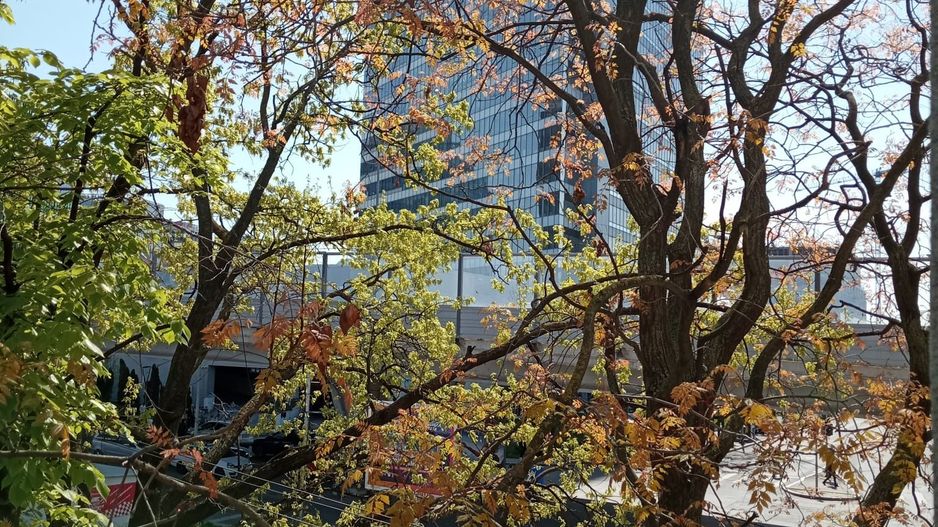 Aviației vizavi de Promenada - Poză 9