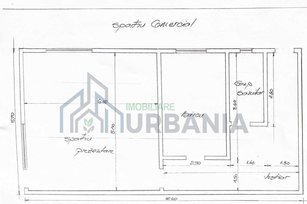 De Inchiriat: Spatiu Comercial + Sopron + Teren, Str. Silvestru, Iasi - Poză 1