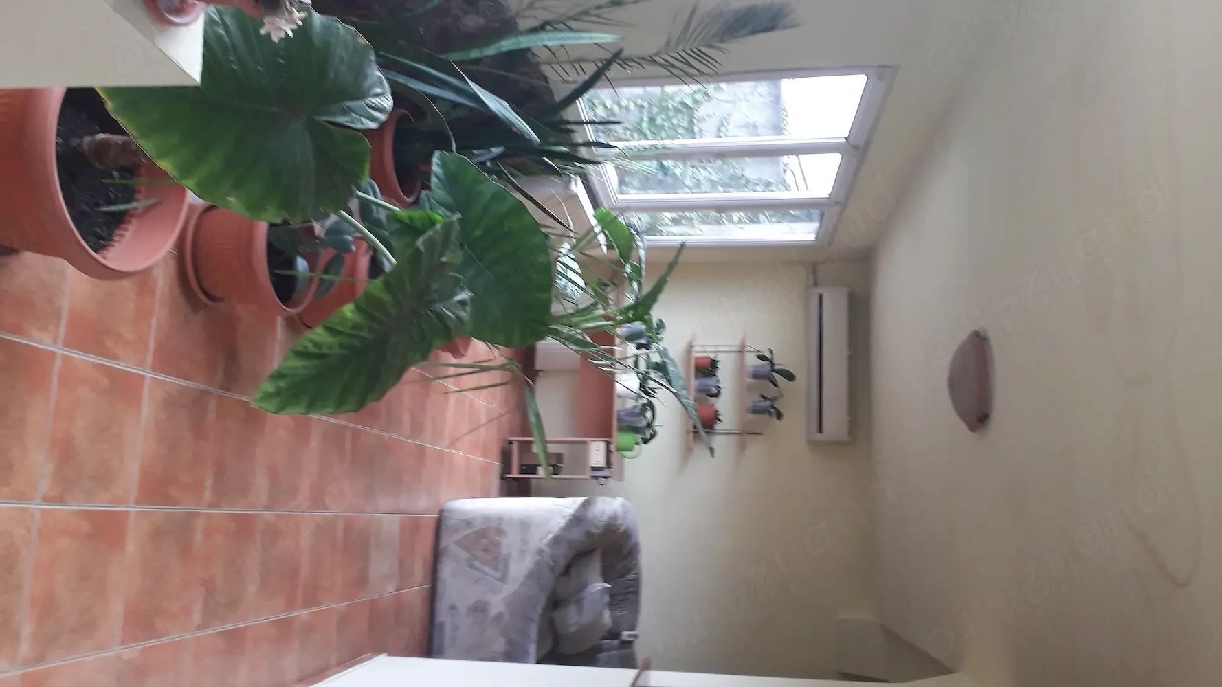 Casă individala cu etaj, având 2 apartamente separate în Timișoara - Poză 1
