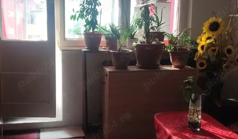 Apartament 3 camere zona Kiriac - Poză 3