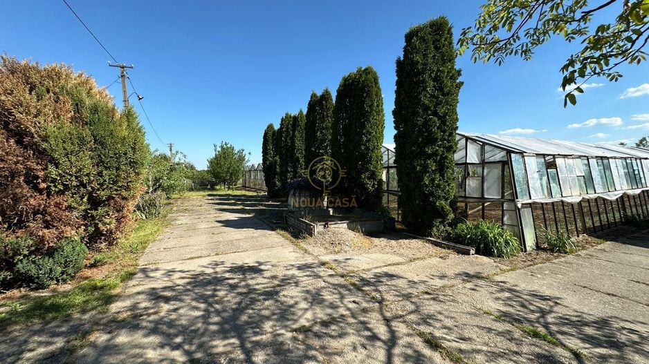 De vanzare Teren 20000MP cu sere/solarii și plantații - Poză 7