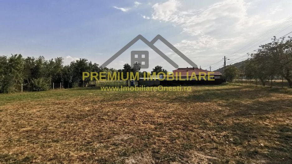 Teren de vanzare - Lupesti, com. Mănăstirea Cașin - Poză 3