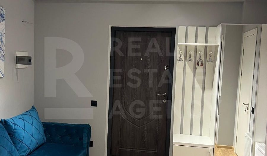 Chirie, apartament, 1 cameră, str. Sprîncenoaia, Centru - Poză 5