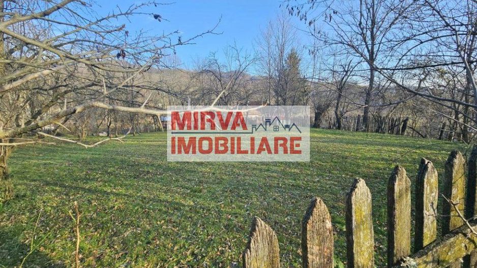 Vanzare casa plus anexa, teren 3843 mp, in Sat Pietriceaua - Poză 13