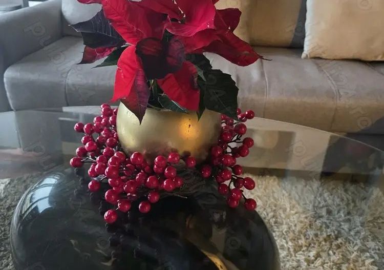 Apartament 2 camere de inchiriat,  sector 1, lângă Metrou - Poză 6