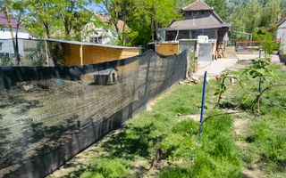 Casa Periam Port - Poză 15