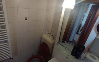 2 cam decomandat  Circumvalatiunii/ Torontalului - Poză 11