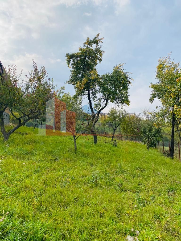 Casa + teren 1700 mp langa Padure Bran/ Predelut - Poză 13