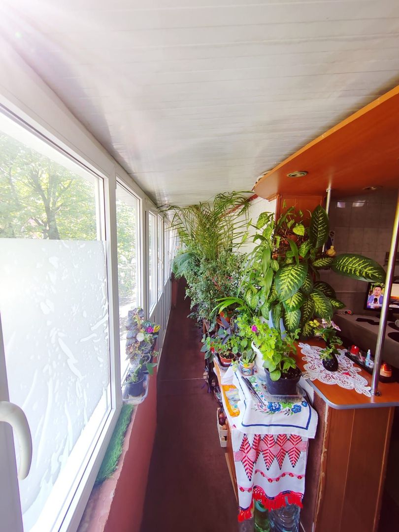 Domenii Ion Mihalache stradal super pret - Poză 2