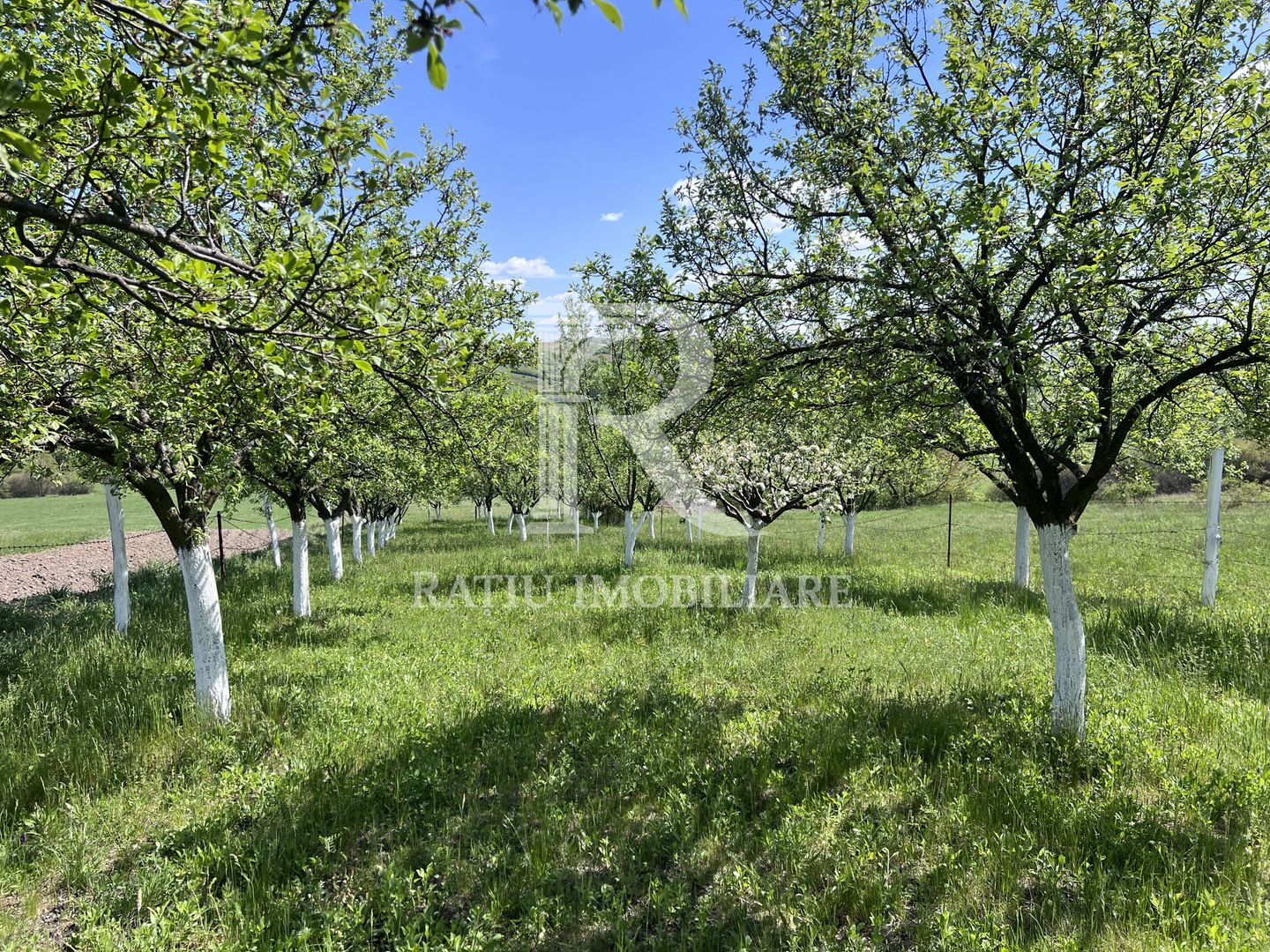 Casă de vacanță + livadă | teren 3000 mp | Chijic | Bihor - Poză 17