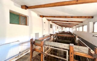 Ferma de vanzare cu 550MP utili si 27.500MP teren la asfalt - Poză 12