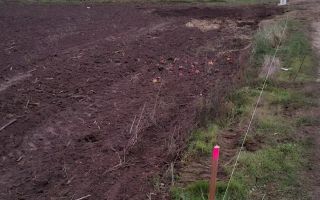 Teren intravilan 614 mp Ciofliceni Snagov - Poză 4