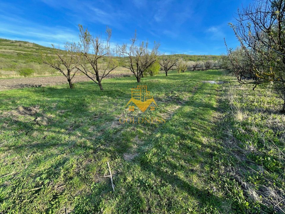 Tren Soporului Intravilan ,5500 MP Utilitati,  Oportunitate - Poză 4