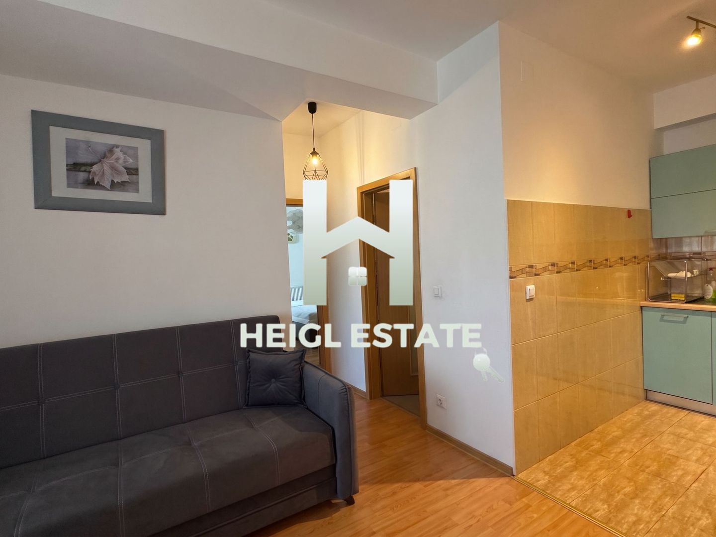 Apartament cu 3 camere si parcare privata, zona Torontalului, Lângă VOX - Poză 4