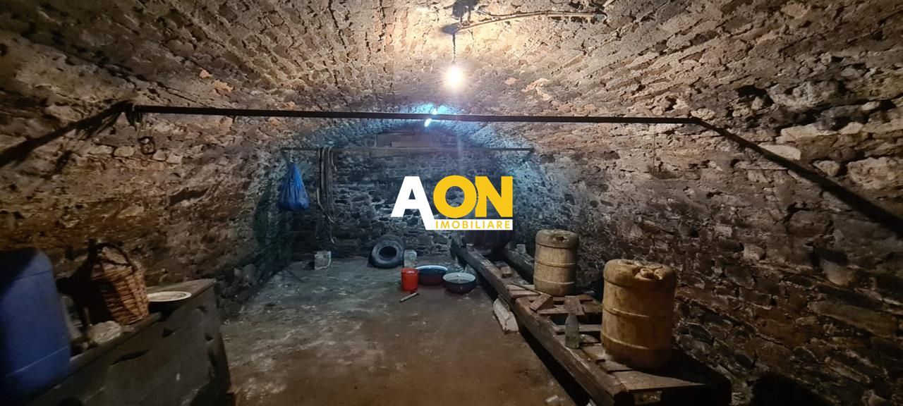 Casa 150 mp Teren 1715 mp Ampoita - Poză 18