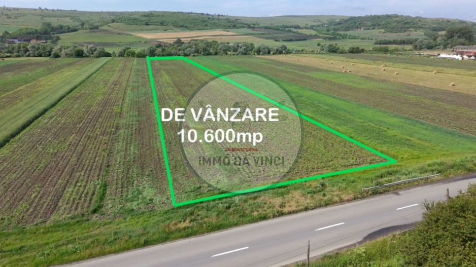 Teren 10.670 mp | Borșa Cluj | Front 38m | Utilități - Poză 4