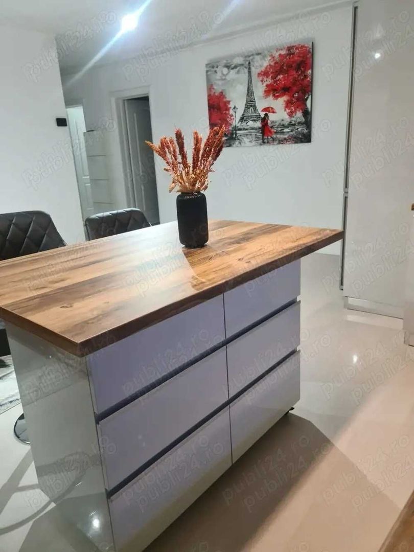 De Inchiriat Apartament 2 Camere +Garaj, Metropolitan Viilor - Filaret - Poză 2