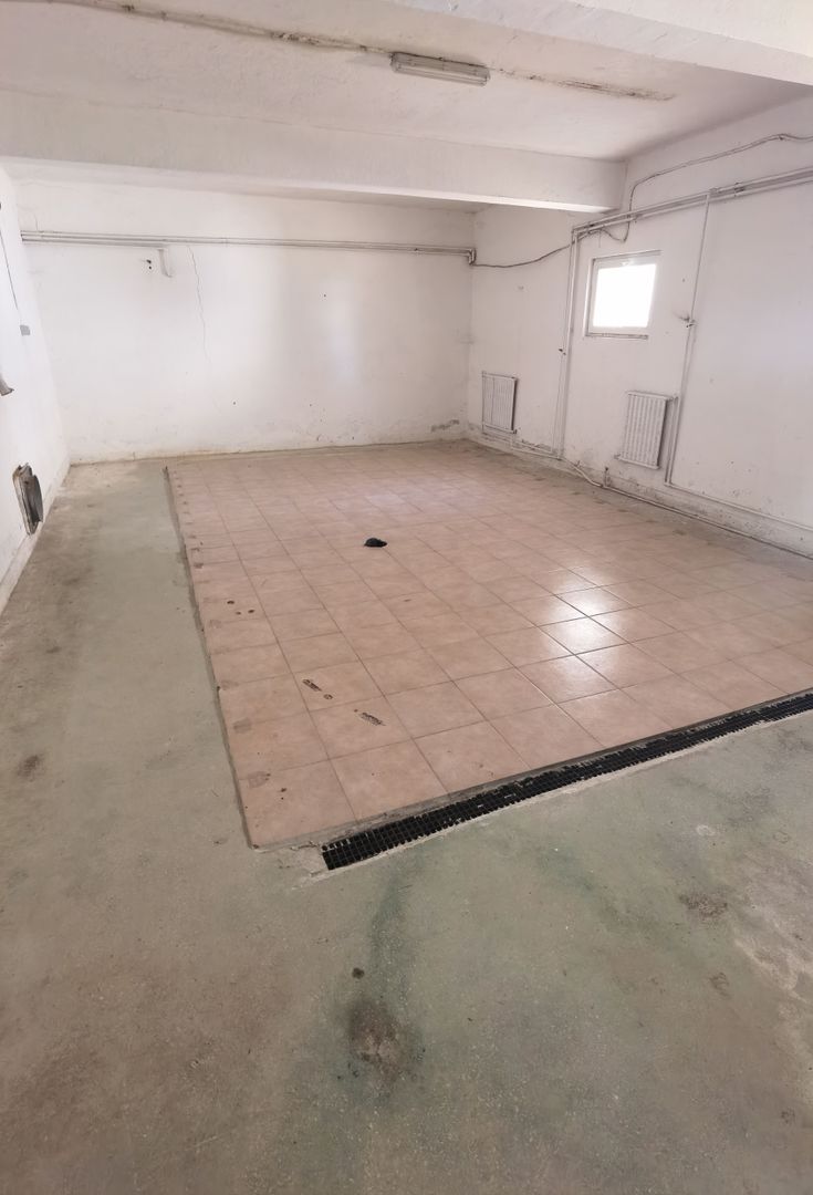 Spatiu industrial zona Sud-Arad - Poză 6