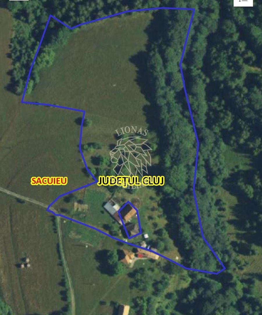COMISION 0 20.000 MP TEREN EXTRAVILAN CU PADURE ZONA TURISTICA SACUIEU VLADEASA - Poză 5