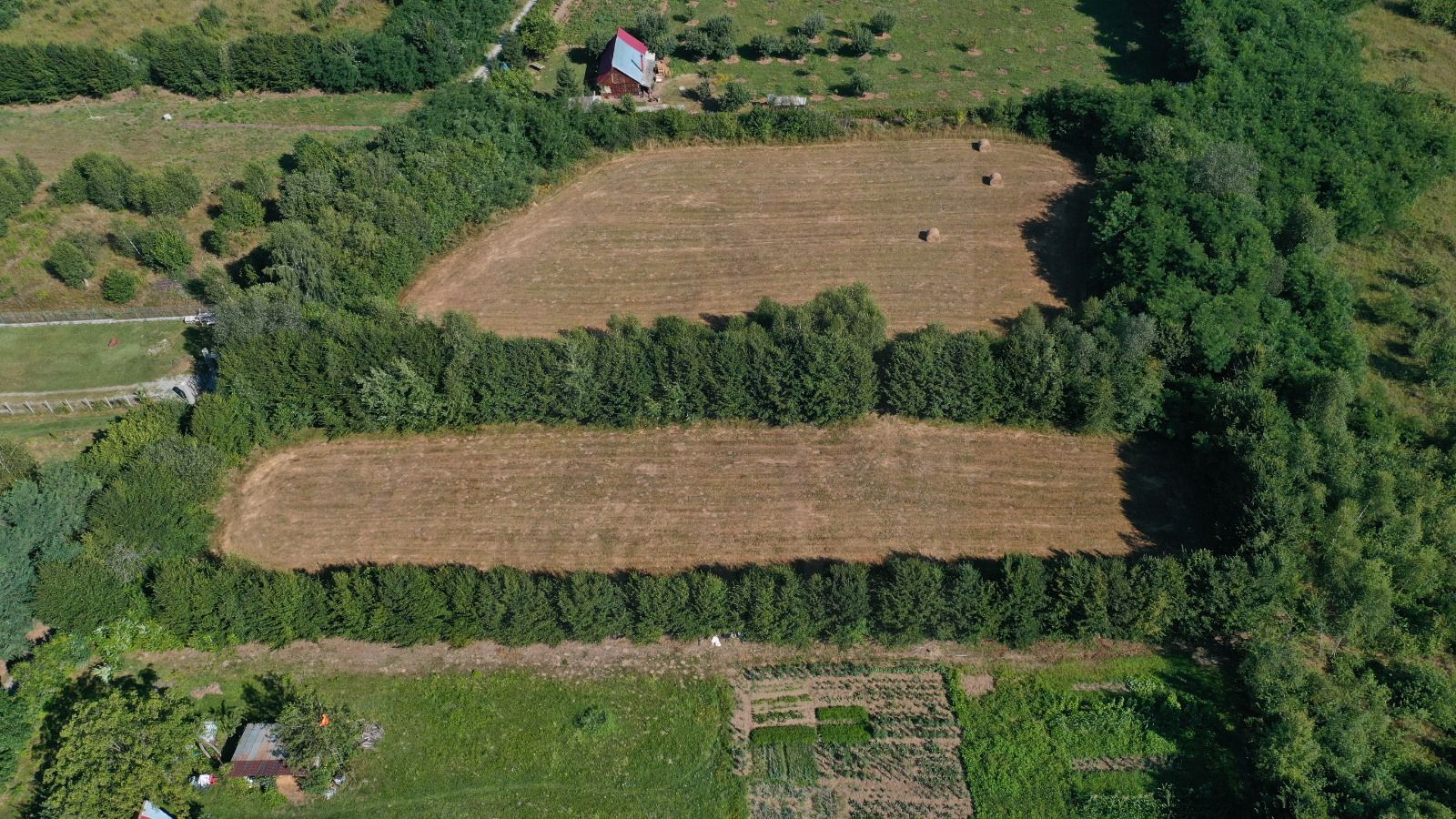 Teren intravilan de vânzare 1350+1413 mp zona Valea Avrigului - Poză 1