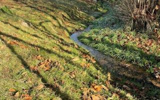 Teren 3349 mp de Vânzare | Bran – Panoramă Munții Bucegi - Poză 8