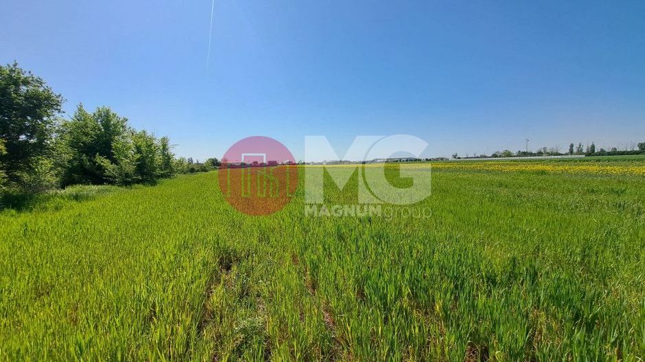 Teren de vanzare in Magurele Ifov Centura Bucuresti - Poză 2