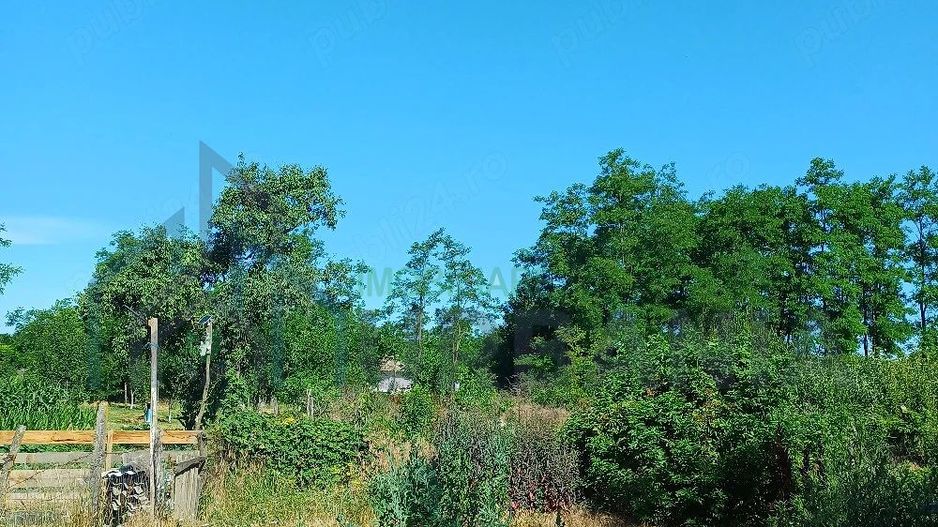 Teren intravilan 1067 mp cu casă și anexe – Grozești - Poză 5