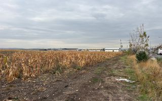 Teren de vanzare I intravilan I 20800 mp I zona vest - Poză 3