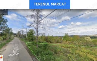 # - Teren intravilan - Bucium (Casa Boiereasca) Aleea cu pini - Poză 2