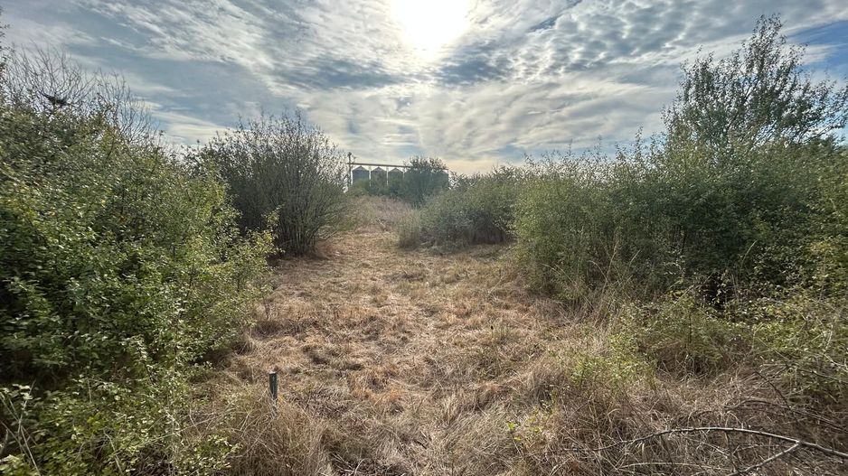 COMISION 0 | Teren intravilan | 945mp | Sacalaz Vest - Poză 3