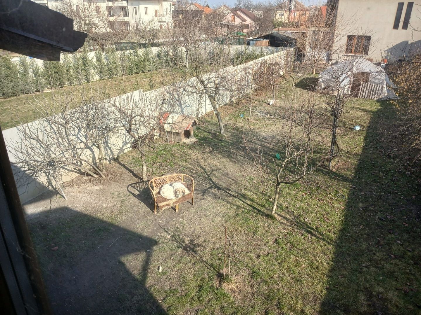 Casa P+ M - Poză 13