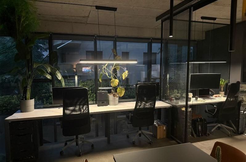 Spatiu Comercial / Birou in Win Herastrau | 2 Etaje | 2 Intrari - Poză 5