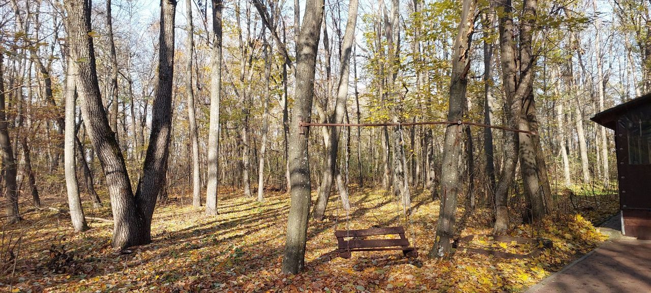 50 ari de Teren forestier si de recreere in Codri!! - Poză 2