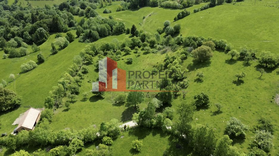 Teren Sohodol 5000 mp - Poză 2