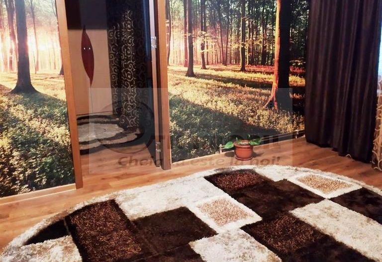 2 CAM PODU ROS PALAS CANTEMIR FARA RISC ETAJ INTERMEDIAR - Poză 2