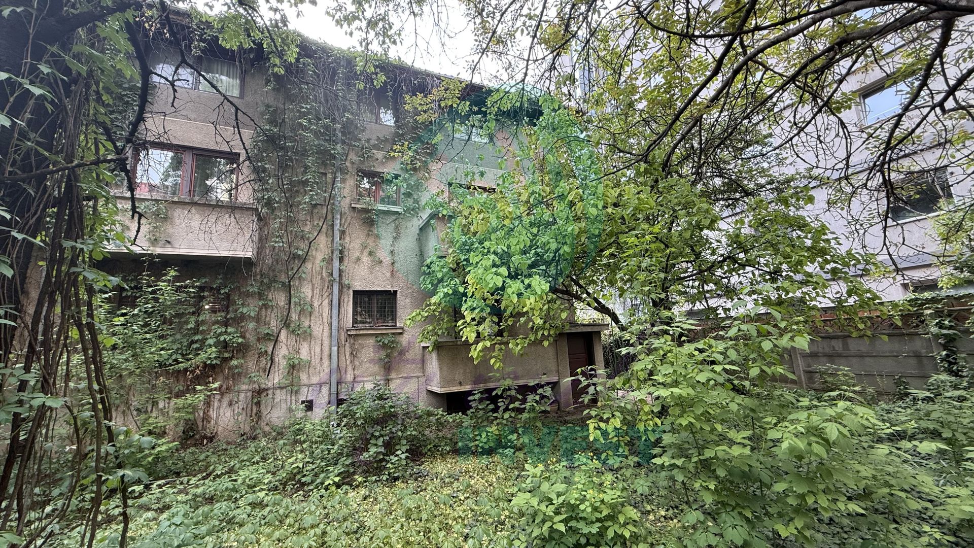 Parter vilă + demisol | Aviatorilor – Herăstrău | Grădină - Poză 1