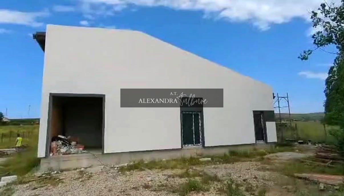 Hală productie/birouri/depozitare, teren 3.500 mp – Tureni - Poză 3