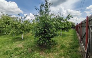 Casa Ciocanesti Cretu - 2 camere cu teren 2539 mp  - Jud. Dambovita - Poză 48