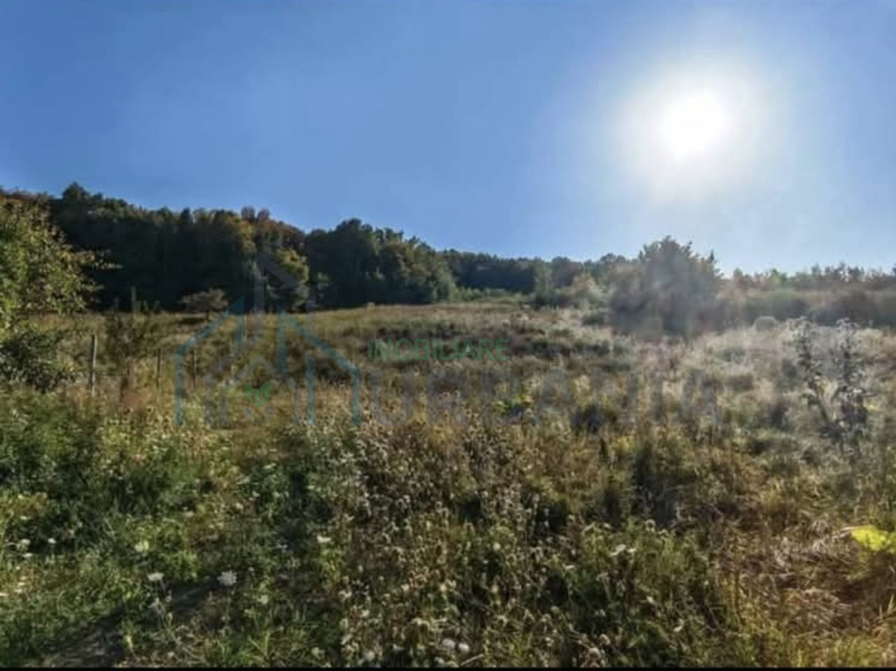 Teren de 6200 mp în intravilan, Barnova – ideal pentru pensiune turistică sau parcelare case de vacanță - Poză 3