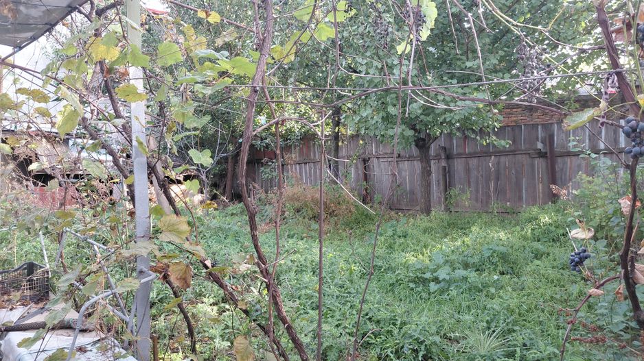 🏡 CASĂ DE VÂNZARE – ZONA PARC CFR, APROAPE DE PARCUL CAROL! - Poză 5