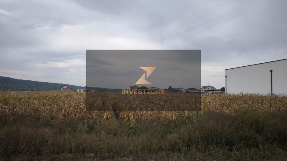 Teren de vanzare,2000mp,Cheriu-Bihor - Poză 3