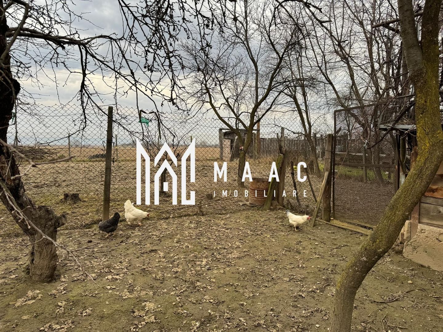 Casă 2 corpuri | Anexe si teren I Racovița | Sibiu - Poză 6