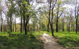 Apartament 3 camere premium Tatarasi Parcul Ciurchi - Poză 18