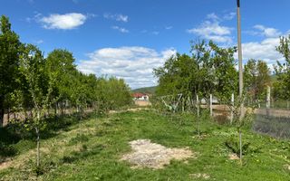 Casă de vânzare în Seini - strada Horea - Poză 8