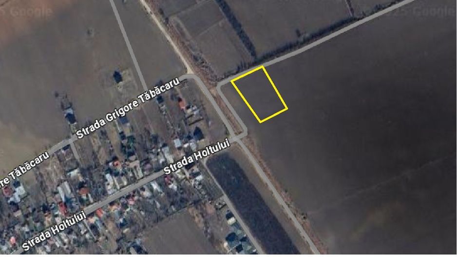 Teren de vanzare Serbanesti/Holt - Poză 3