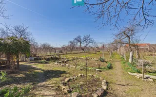 Casă cu 6 camere pe teren de 2029 mp – Miniş - Poză 22