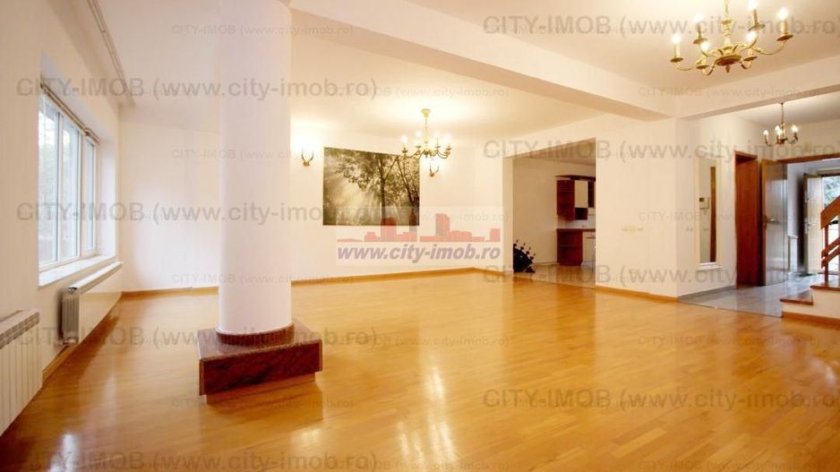 Inchiriere Vila Iancu Nicolae,  Nord,  Pipera - Poză 7